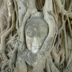 ワット・マハータート(アユタヤ)